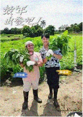 必胜韩国影视课程体系 表演层次模块封面